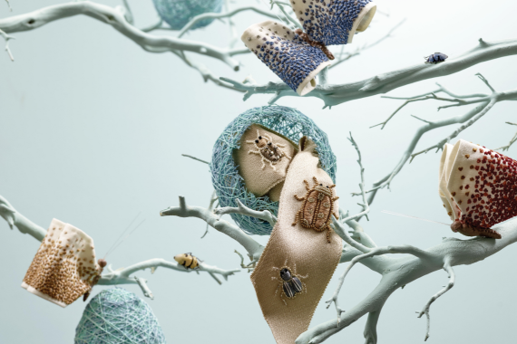 Discover Your Spring Scheme